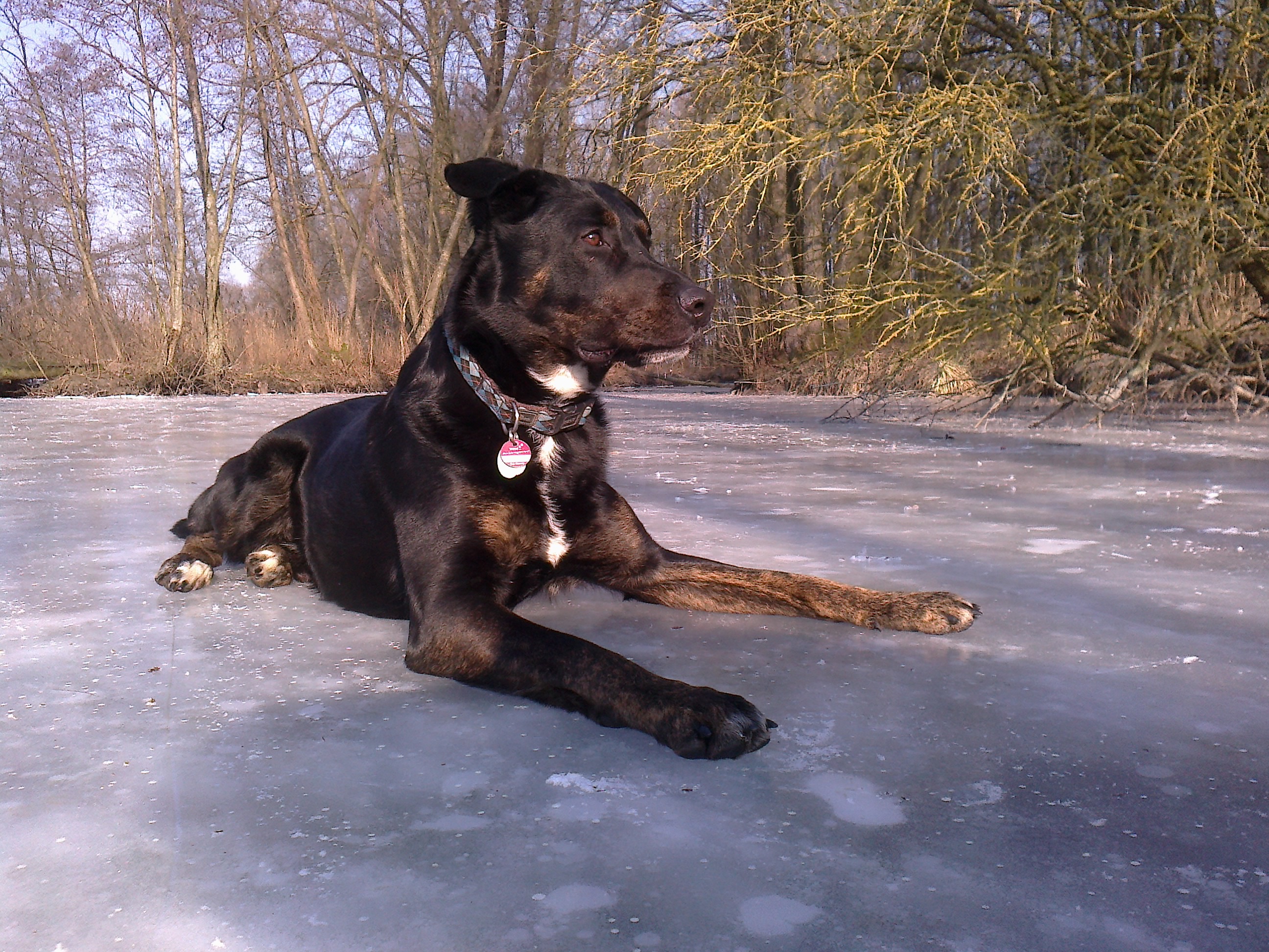 Sam.jpg (2592 x 1944)